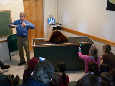 High School programs at Squam Lakes Natural Science Center